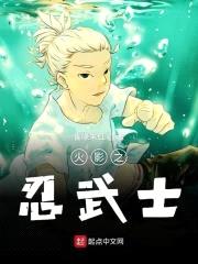 木叶忍武士封面