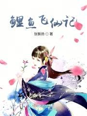 鲤鱼飞仙记封面