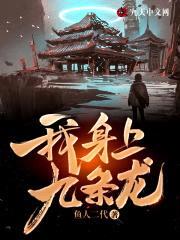 无敌龙婿封面