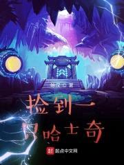 捡到一只哈士奇封面