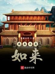 我真不是如来封面