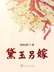 黛玉另嫁封面