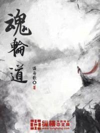 魂轮道封面