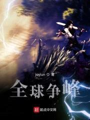 全球争峰封面
