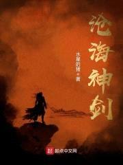 沧海神剑封面