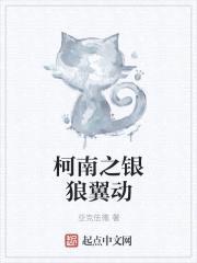 柯南之银狼翼动封面