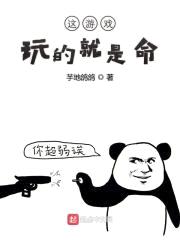 这游戏玩的就是命封面