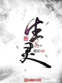 生灵王封面
