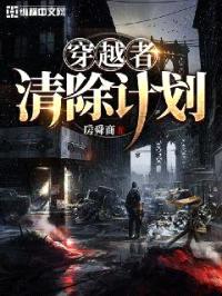 穿越者清除计划封面
