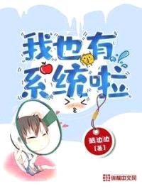 我也有系统啦封面