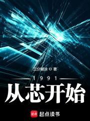1991从芯开始封面