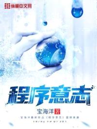 程序意志封面