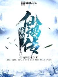 缥缈仙鸿传封面