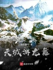 天域游龙舞封面