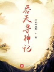 吞天寻神记封面