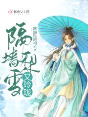 隔墙梨雪又玲珑封面