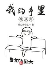 我的手里有块地封面