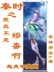 秦时之我真不是嫪毐啊封面