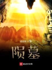 陨墓封面