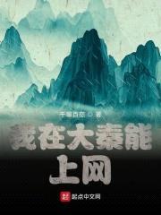 我在大秦能上网封面