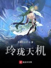 玲珑天机封面