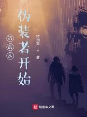 抗战从伪装者开始封面