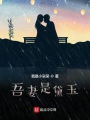 吾妻是黛玉封面