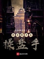 我的副业是cao盘手封面