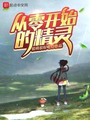 从零开始的精灵封面