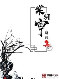 棠玥寕诗词集封面