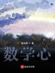数学心封面