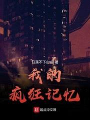 我的疯狂记忆封面