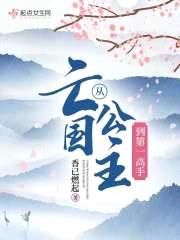 从亡国公主到第一高手封面