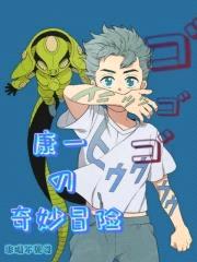 康一的奇妙冒险封面