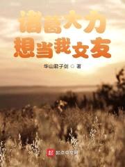 诸葛大力想当我女友封面