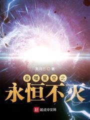 吞噬星空之永恒不灭封面