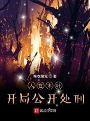 人在木叶：开局公开处刑封面
