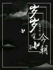 岁岁有今朝l封面