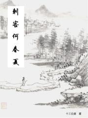 刺客何春夏封面