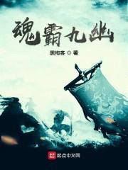 这个城主有点狠封面