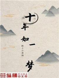 十年如一梦封面