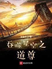 吞噬星空之道尊封面