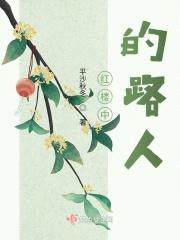 红楼中的路人封面