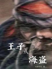 王子或海盗封面