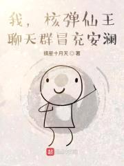 我，核弹仙王，聊天群冒充安澜封面