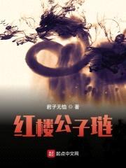 红楼公子琏封面