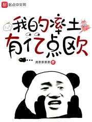 我的率土有亿点欧封面