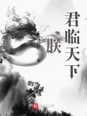 武朝风云志封面