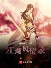 江湖风情录封面