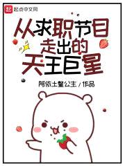 从求职节目走出的天王巨星封面